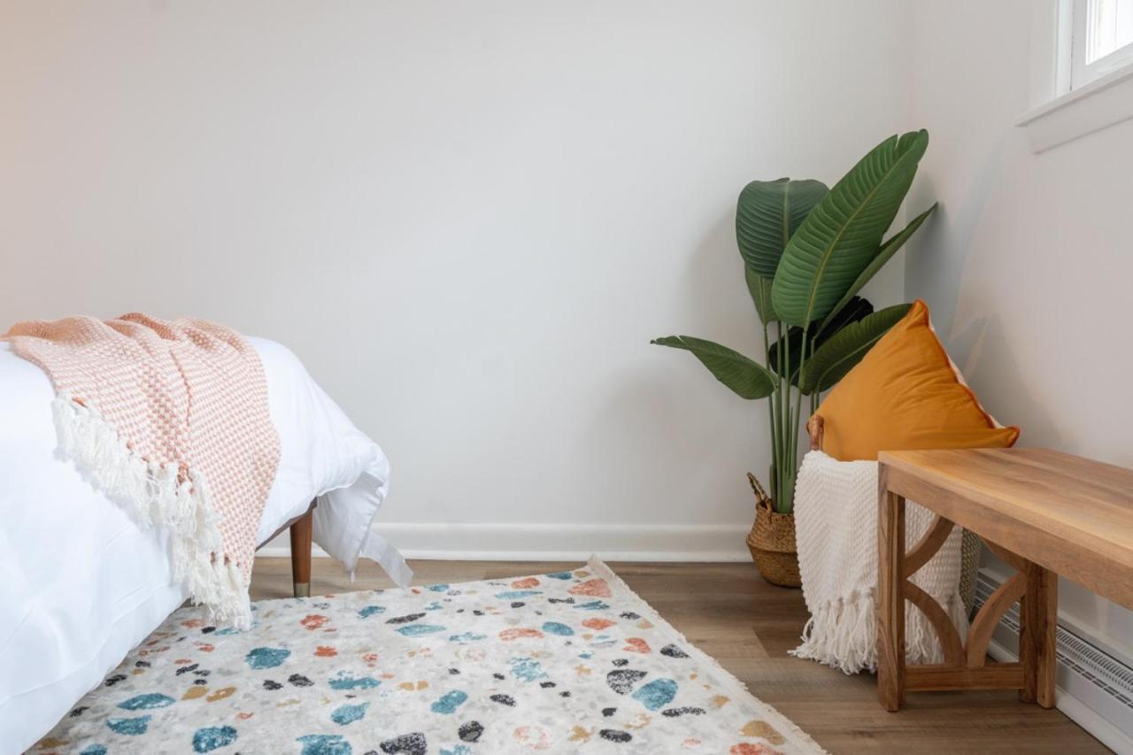 Retro Retreat Renovated 2Br, Desk, No Chore List! Kingston Eksteriør bilde